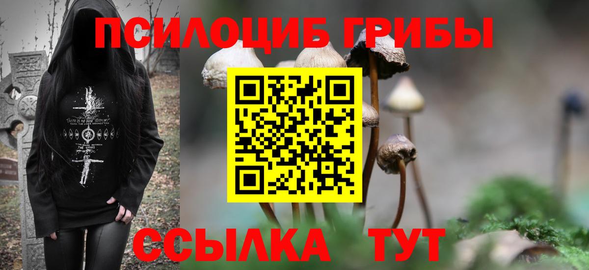 Ярославль  Псилоцибиновые грибы Magic Shrooms  Вход с VPN  Галлюциногенные грибы GOLDEN TEACHER 